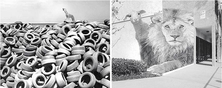 From Montana Hi-Line -Stephen Lehmer